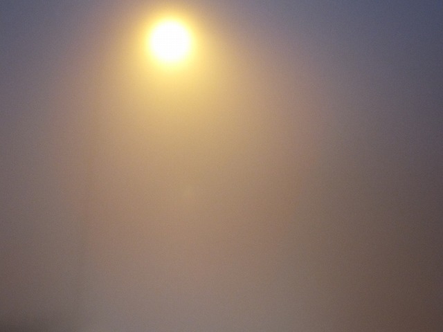 DSCF7434.jpg