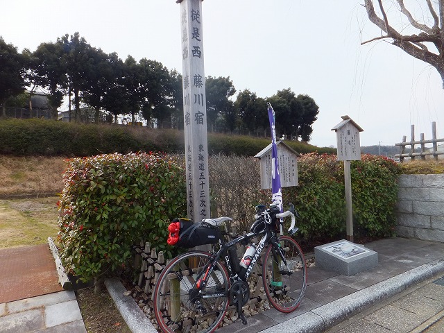DSCF7464.jpg