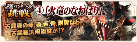 火竜のなわばり