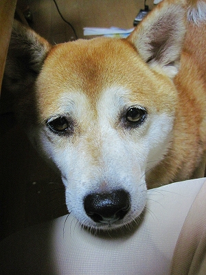 s-IMG_0099_20111025202357.jpg