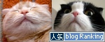 blog ranking投票