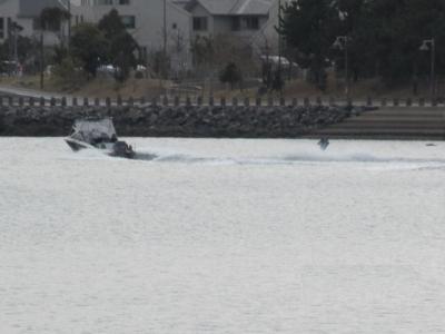 ウエイクボード香椎海岸