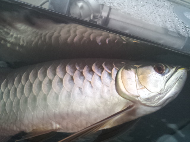 2011-11-20 14:20:31
