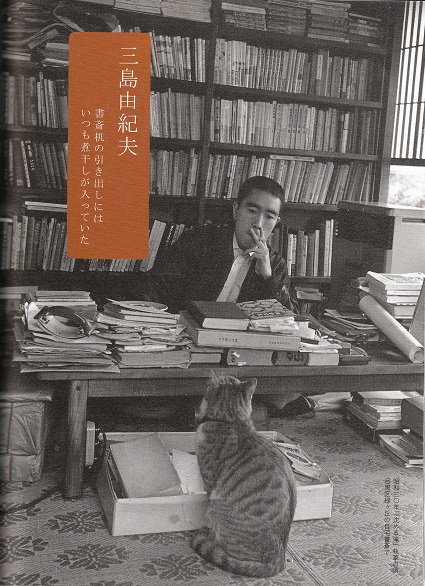 猫の本3冊 やっぱり猫は不思議 若 駒太郎のブログ