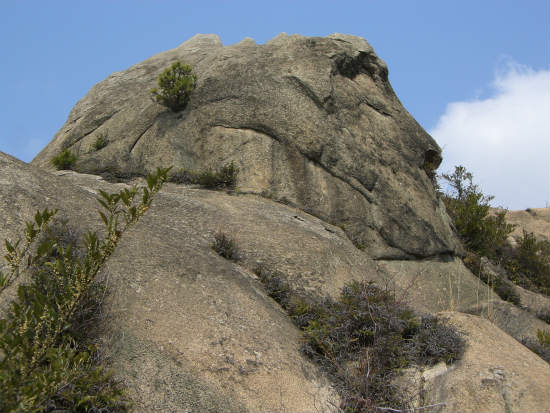 CIMG0363.jpg