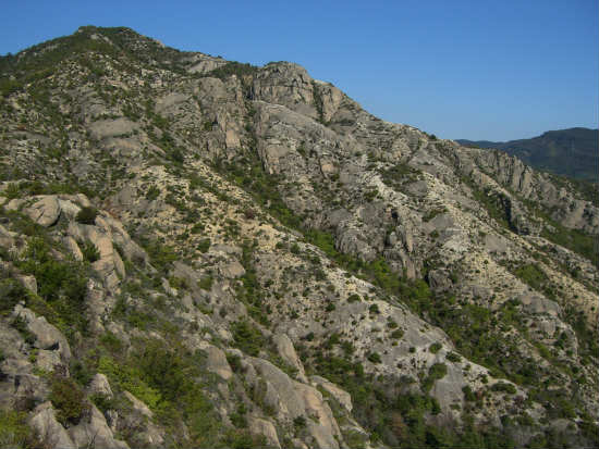 CIMG9153.jpg