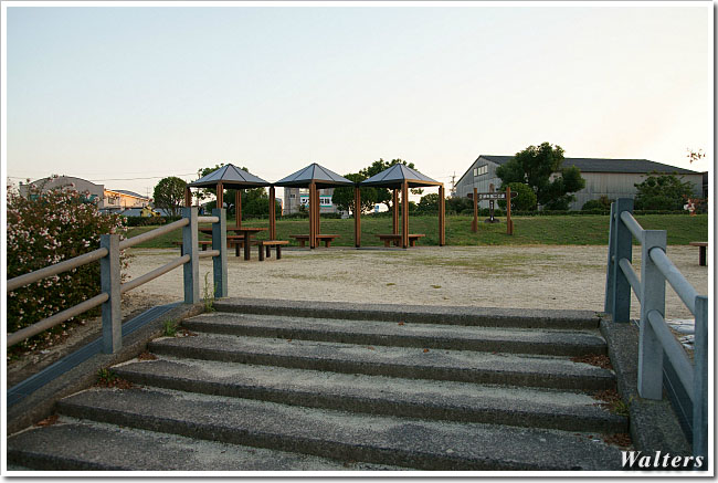 MAT00121.jpg