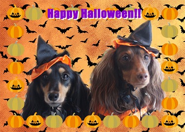 halloween-wancha2s-.jpg