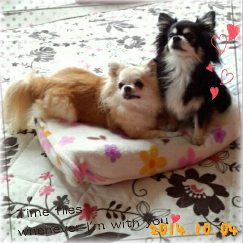 CYMERA_20141004_102942.jpg