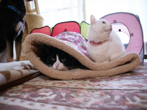 DSC07504_R.jpg