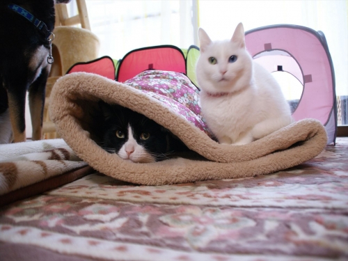 DSC07505_R.jpg