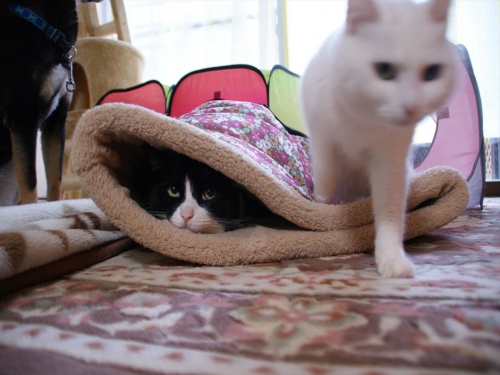 DSC07506_R.jpg