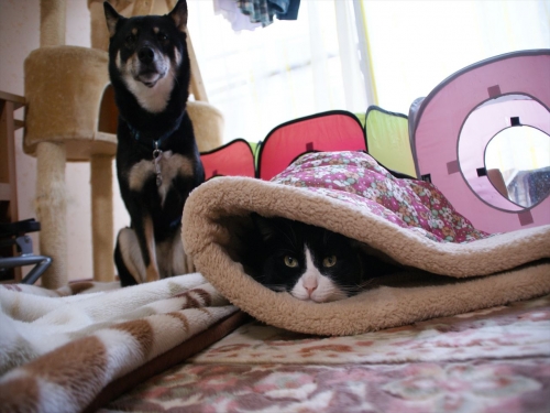 DSC07514_R.jpg