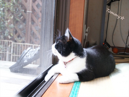DSC07916_R.jpg