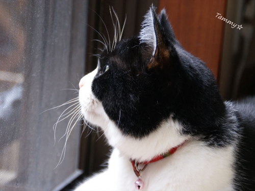 DSC07917_R.jpg