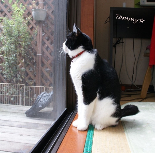 DSC07925_R-crop.jpg