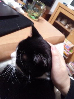 IMG02256_R.jpg