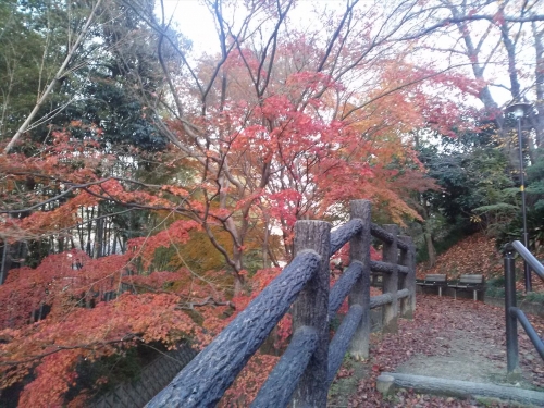 IMG02294_R.jpg