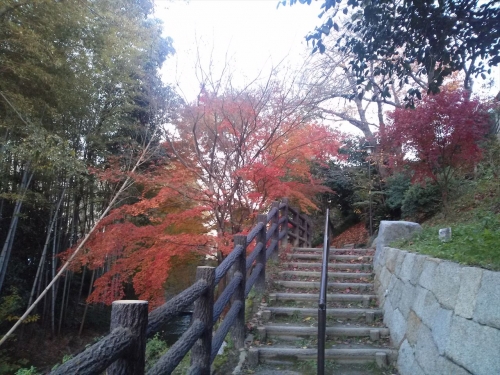 IMG02296_R.jpg