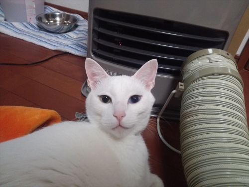 IMG02325_R.jpg