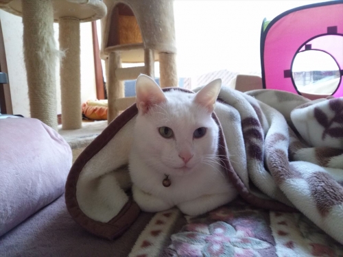 IMG02405_R.jpg