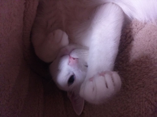 IMG02563_R.jpg
