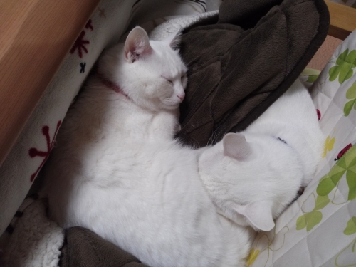 IMG02588.jpg