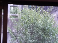 IMG04577.jpg