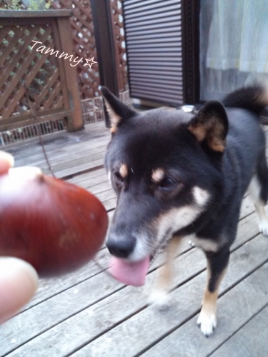 IMG04638.jpg