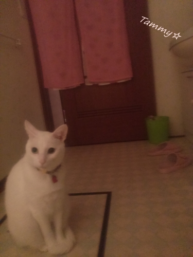 IMG04684.jpg