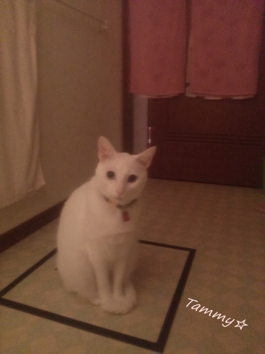 IMG04686.jpg