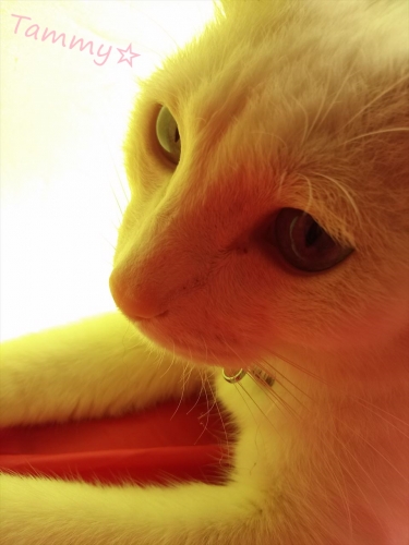IMG04712_R.jpg