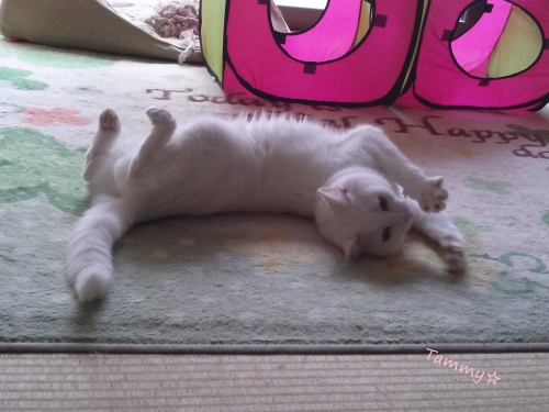IMG04749.jpg