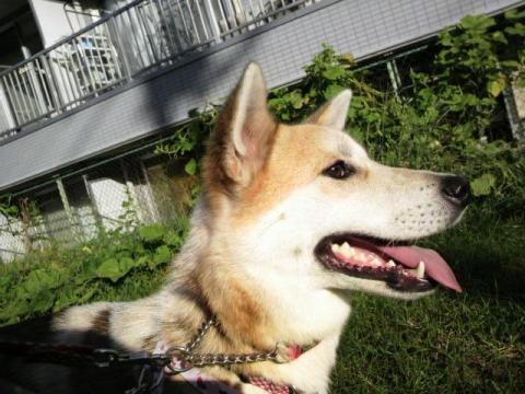 2011091607060000_20110925171243.jpg
