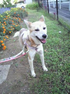 2011091607070000.jpg