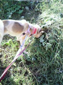 2011092407210001.jpg