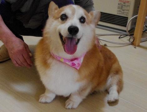 IMGP3582_20111014174714.jpg