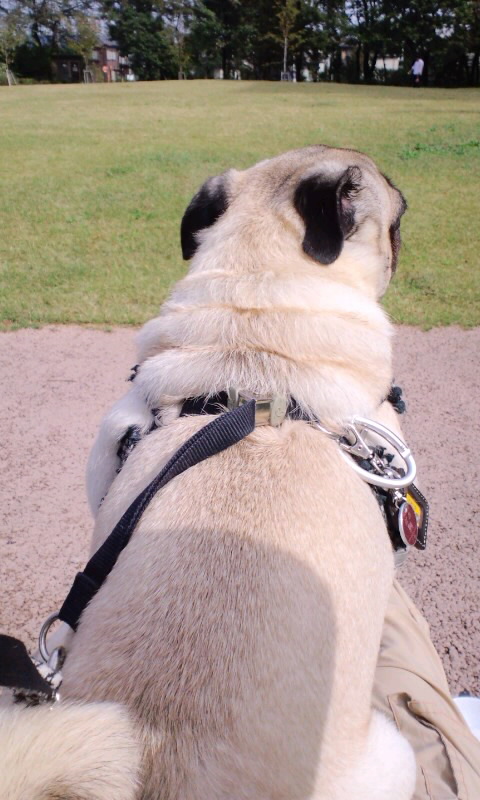 moblog_63325cb8.jpg