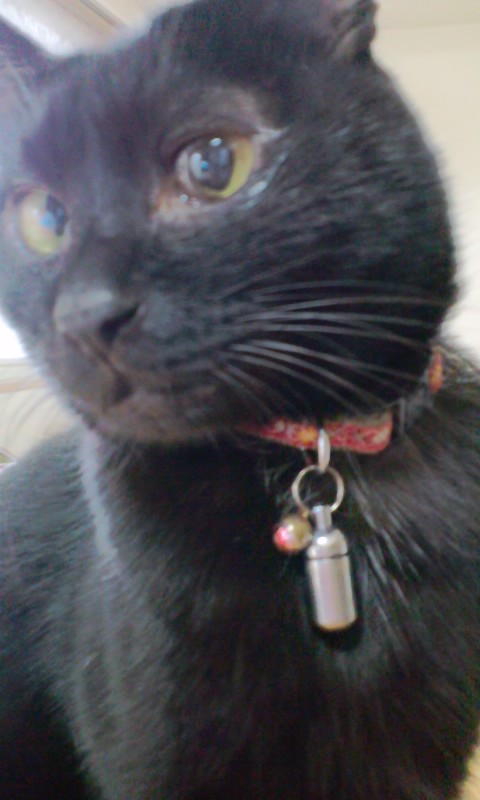 moblog_9bc83f1a.jpg