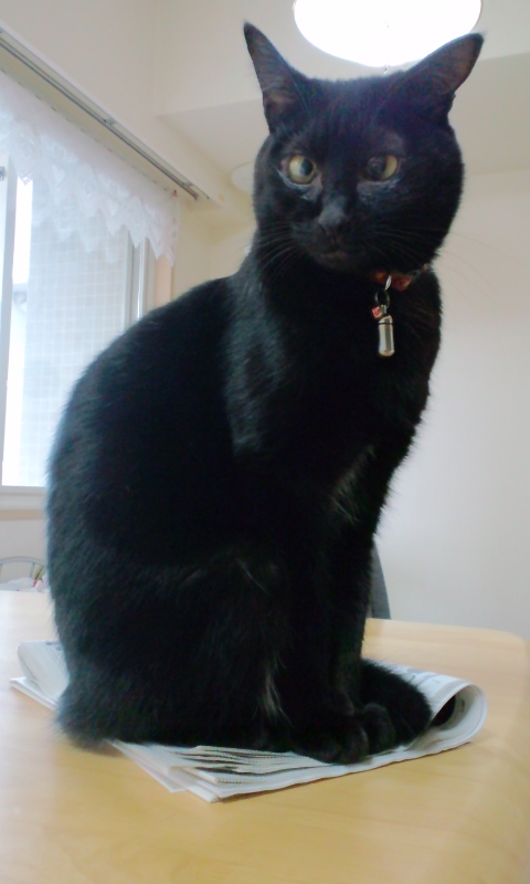 moblog_d9a39103.jpg