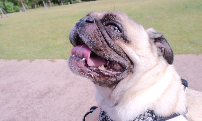 moblog_faaf3411.jpg