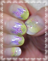 ネイル 25 1 Fugic藤 旧グラデ 黄緑 Lampranthus Funny Nail