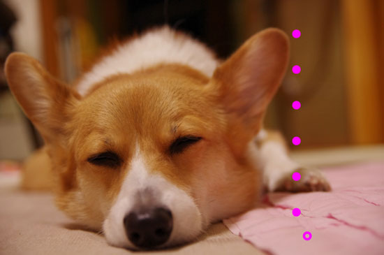 眠気2