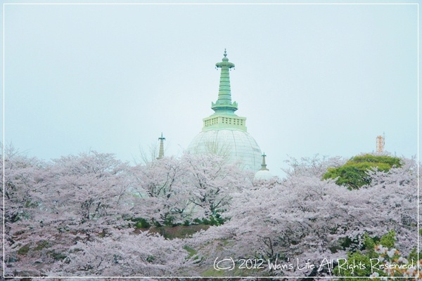 IMG_5663-20120416.jpg