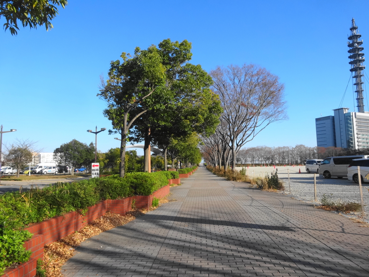 車の運転大嫌いなゴールドカード