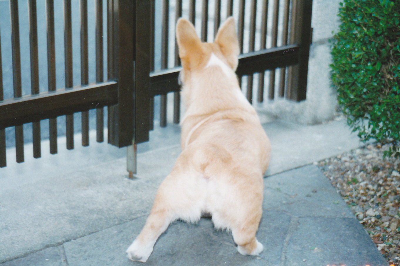 自宅警戒中~