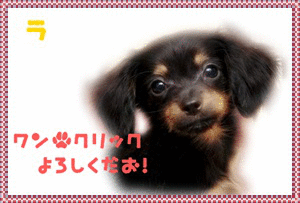 ぽちっとな!