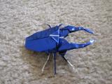 Stag beetle
