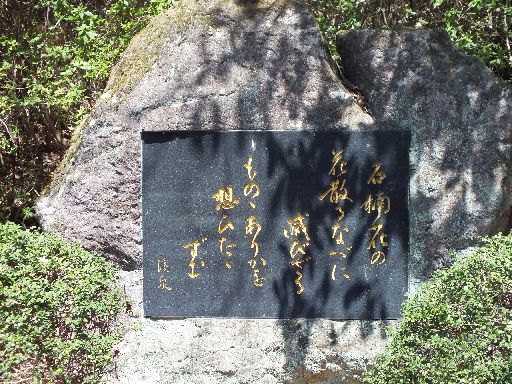 DSCF0065.jpg