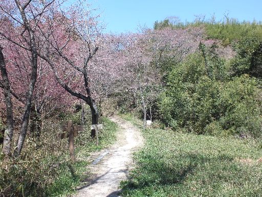 DSCF0139.jpg
